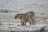 Etosha