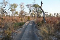 Khaudum