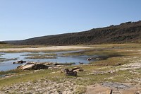 05. Clanwilliam