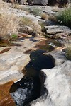 15. Augrabies Dassie trail