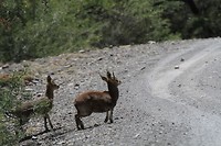 27. Karoo NP