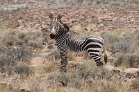 28. Karoo NP