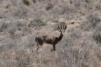30. Karoo NP