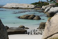 22. Simons town