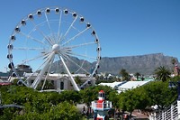 29. Kaapstad