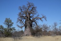 05. Gweta