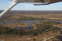 08. Maun