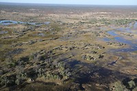 09. Maun
