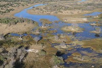 11. Maun
