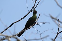 19. Namibie - Katima Mulilo