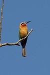 22. Namibie - Katima Mulilo