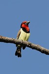 23. Namibie - Katima Mulilo