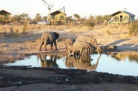 45. Elephants Sands
