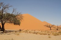 19. Sossusvlei