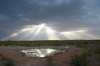 19. Etosha