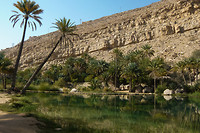 06. Wadi Bani Khalid