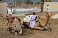 13. Al Amerat