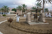 14. Al Amerat