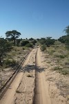 01 Bosotrail Kgalagadi transfronteir NP