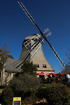 IMG_1339-2