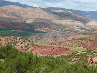P1030075