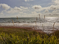 06. Esbjerg