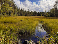 15. Oulanka NP