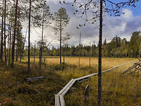 17. Oulanka NP