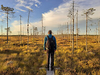 30. Patvinsuo NP