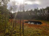 32. Patvinsuo NP
