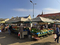 19. Riga
