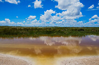 04. Etosha