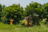 27. Mukuku