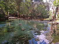 33. Kapishya Hot Springs