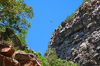 13. Goo Moremi Gorge