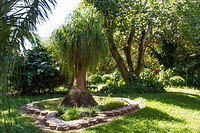 17. Botanische tuin