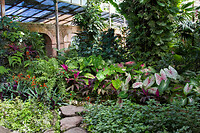 20. Botanische tuin