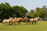 12. San Antionio de Areco