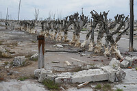 20. Villa Epecuen
