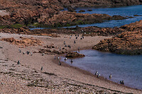 15. Cabo dos Bahias