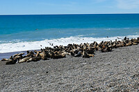 27. Caleta Olivia