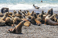 28. Caleta Olivia