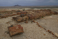 44.  PN Bosque Petrificado Jaramillo
