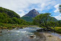 26. Rio Olivia