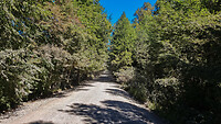 30. Lanin NP