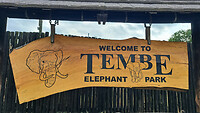 25. Tembe