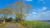 32. Mkuze NP