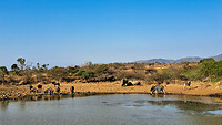 34. Mkuze NP