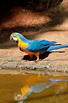 28. Parque das Aves