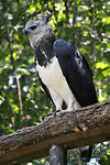 24. Parque das Aves